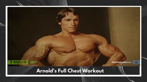arnold schwarzenegger full workout